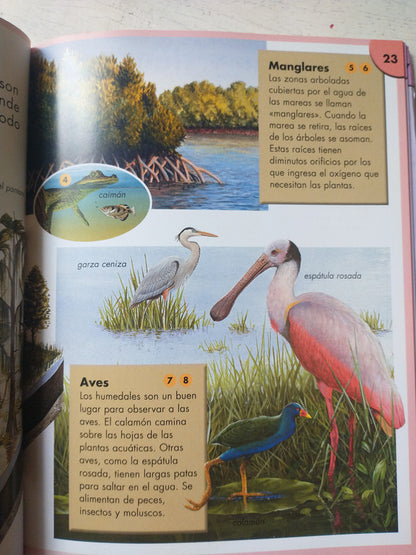 Libro usado en venta: Preguntas y respuestas para genios: Naturaleza de Tomo Jackson; editorial El Ateneo impreso en 2012 envios a todo el mundo.3