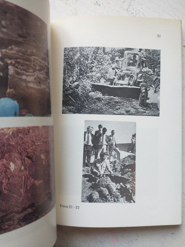 Libro usado en venta: Lemuria de Beatriz Vignoli; editorial Mansalva impreso en 2022 realizamos envios a todo el mundo.2