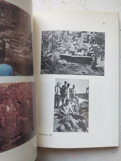 Libro usado en venta: Lemuria de Beatriz Vignoli; editorial Mansalva impreso en 2022 realizamos envios a todo el mundo.2