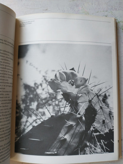 Libro usado en venta: Y Dios creo al hombre?; editorial Artes Graficas Ronor impreso en 2002 realizamos envios a todo el mundo.2