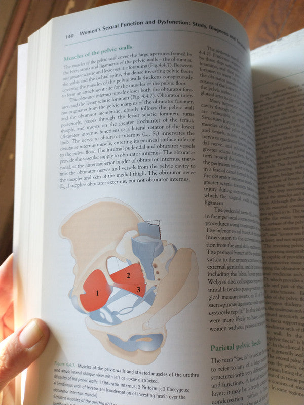 Libro usado en venta: La ciudad de Mexico; editorial SEP impreso en 1995 realizamos envios a todo el mundo.2