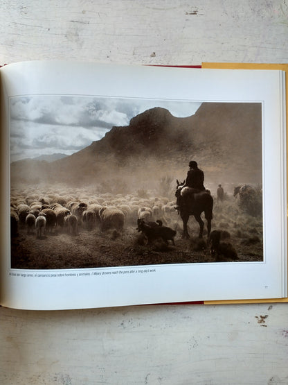 Libro usado en venta: Santa Cruz - Patagonia Argentina; editorial Grupo Abierto Comunicaciones impreso en 1999 realizamos envios a todo el mundo.3