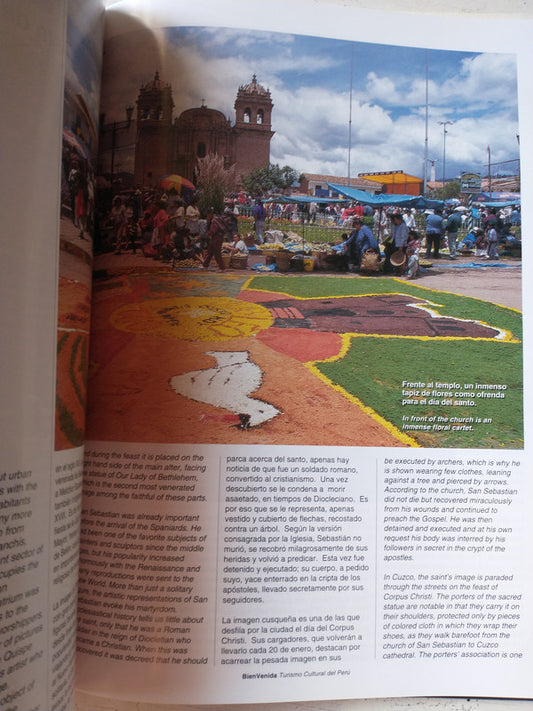 Libro usado en venta: Proyecto cultural - Artistas del mercosur de Lasar Segall; editorial Banco Velox impreso en 1999 envios a todo el mundo.2