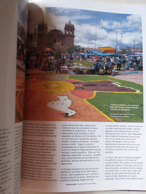 Libro usado en venta: Proyecto cultural - Artistas del mercosur de Lasar Segall; editorial Banco Velox impreso en 1999 envios a todo el mundo.2