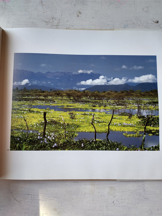 Libro usado en venta: Pulowi; editorial Grupo Cinco impreso en _ realizamos envios a todo el mundo.2