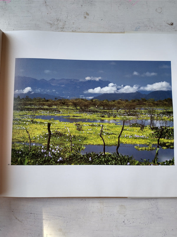 Libro usado en venta: Pulowi; editorial Grupo Cinco impreso en _ realizamos envios a todo el mundo.2