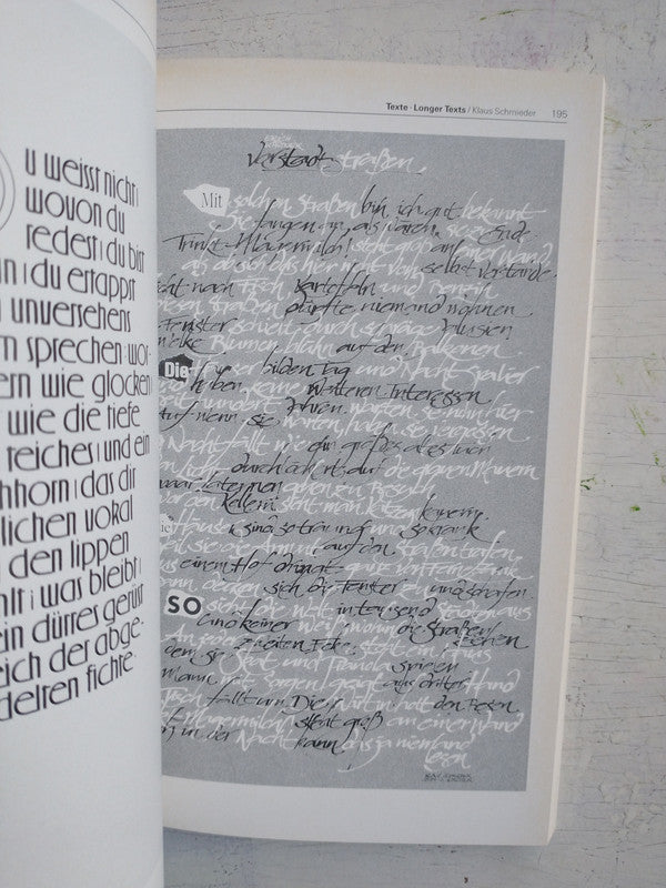 Libro usado en venta: Schreibschriften Scriot Types de Michael Rau - Rosemarie Kloos-Rau; editorial Bruckmann impreso en 1993 envios a todo el mundo.2