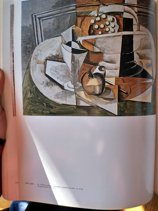 Libro usado en venta: La obra pictorica completa de George Braque (1908-1929) de Marco Valsechhi - Massimo Carra; editorial Noguer impreso en 1976.4