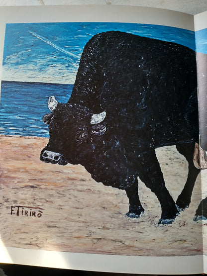 Libro usado en venta: Tiriro - Racconto, documenti ed immagini de Vanni Ronsisvalle; editorial Salvatore Sciascia impreso en 1976.3