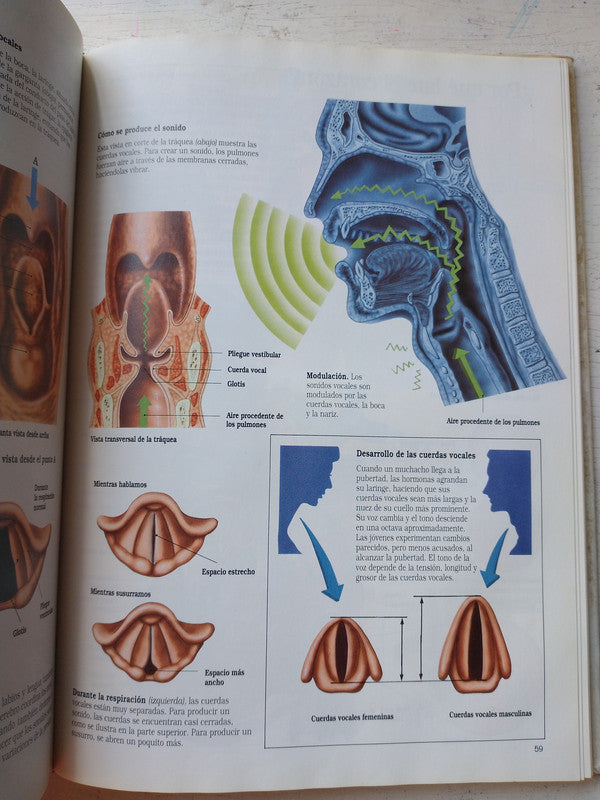 Libro usado en venta: Construccion de chimeneas de Sophie Moutiers; editorial Stock impreso en 1982 realizamos envios a todo el mundo.2