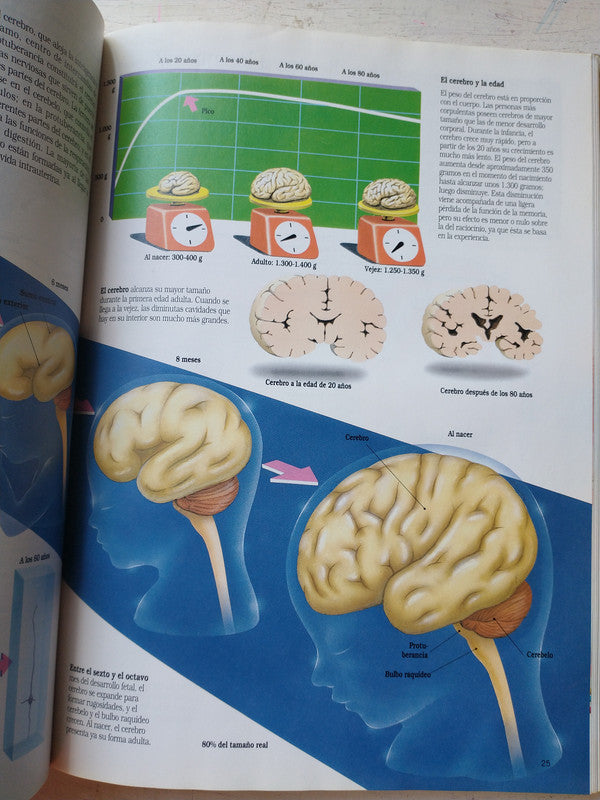 Libro usado en venta: El cuerpo humano; editorial Time Life Books impreso en 1997 realizamos envios a todo el mundo.4