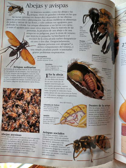 Libro usado en venta: Animales venenosos de Teresa Greenway; editorial Puerto de palos impreso en 1998 realizamos envios a todo el mundo.4