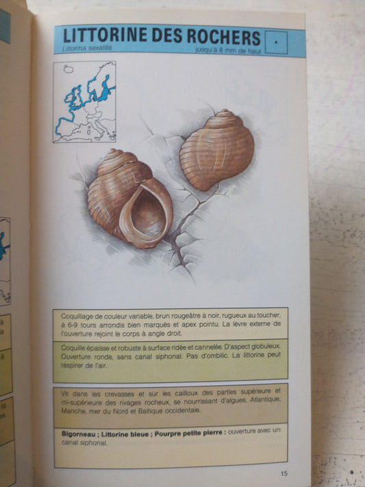 Libro usado en venta: Paula de Isabel Allende; editorial Sudamericana impreso en 1994 realizamos envios a todo el mundo.2