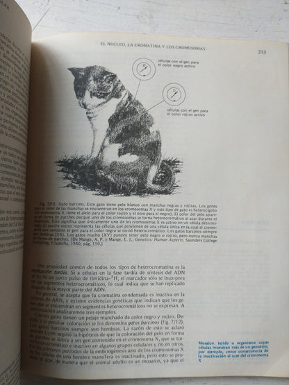 Libro usado en venta: Semiologia y orientacion diagnostica de las enfermedades cardiovasculares de Caino - Sanchez; Panamericana impreso en 19911.2