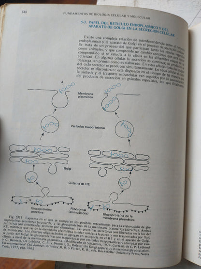 Libro usado en venta: Fundamentos de Biologia celular y Molecular; editorial El Ateneo impreso en 1988 realizamos envios a todo el mundo.2