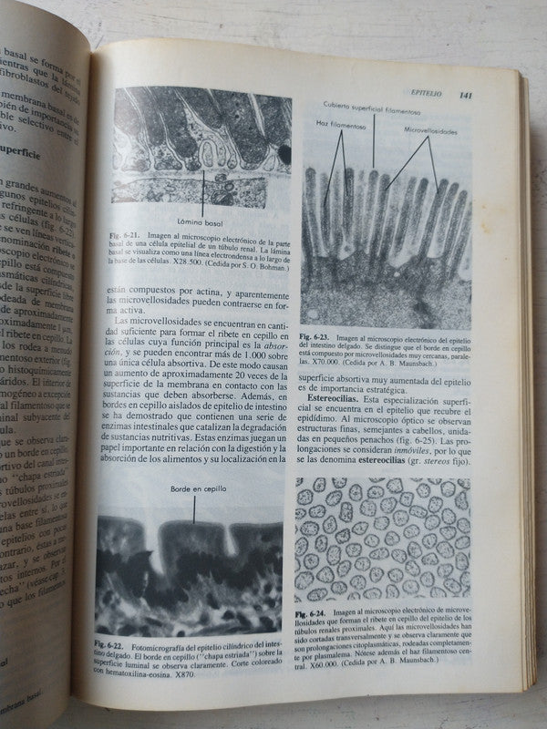 Libro usado en venta: El sentido del universo de Hubert Reeves; editorial Emece impreso en 1993 realizamos envios a todo el mundo.2