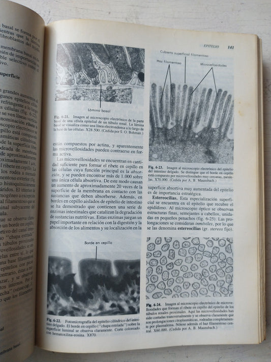 Libro usado en venta: El sentido del universo de Hubert Reeves; editorial Emece impreso en 1993 realizamos envios a todo el mundo.2