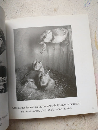 Libro usado en venta: Querida Mama - Gracias por todo de Bradley Trevor Greive; editorial V & R impreso en 2007 realizamos envios a todo el mundo.3