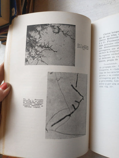 Libro usado en venta: Micosis cutaneas y viscerales de Pablo Negroni; editorial Lopez Libreros impreso en 1988 realizamos envios a todo el mundo.2