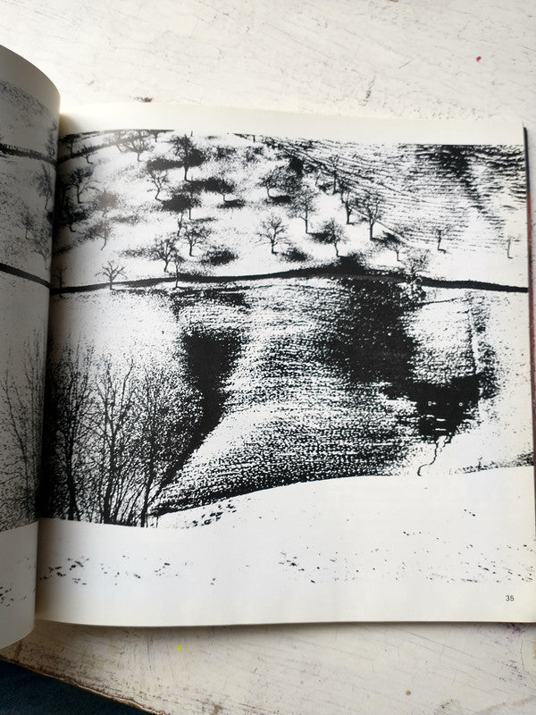 Libro usado en venta: El paisaje - La significacion del Paisaje - Suiza, Tierra de vacaciones; editorial OSEC impreso en 1983 envios a todo el mundo.3