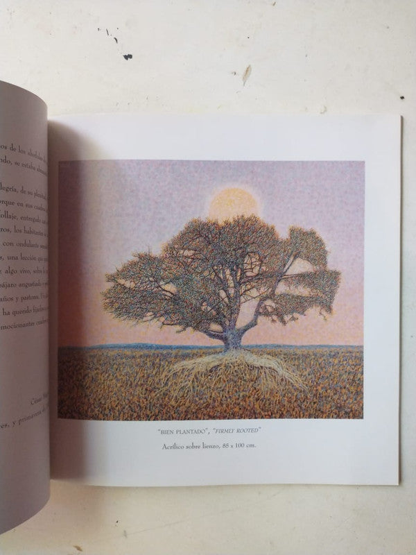 Libro usado en venta: Mis arboles -Obras (1994-1995) de Rikelme; editorial Zurbaran impreso en 2004 realizamos envios a todo el mundo.2