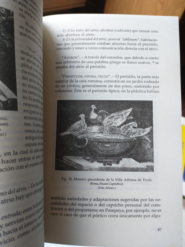 Libro usado en venta: La rebelion de las palabras de Andres Ferrari; editorial Santillana impreso en 2004 realizamos envios a todo el mundo.2