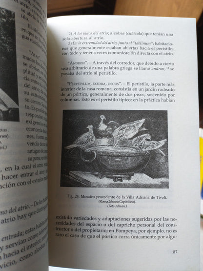 Libro usado en venta: La rebelion de las palabras de Andres Ferrari; editorial Santillana impreso en 2004 realizamos envios a todo el mundo.2
