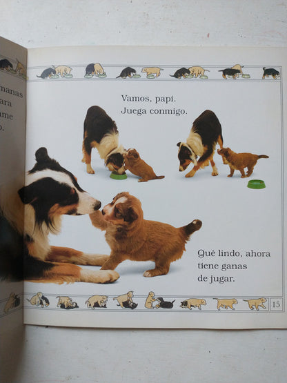 Libro usado en venta: ?De quien es esa sombra? de Choi Sukhee; editorial Oceano impreso en 2009 realizamos envios a todo el mundo.2