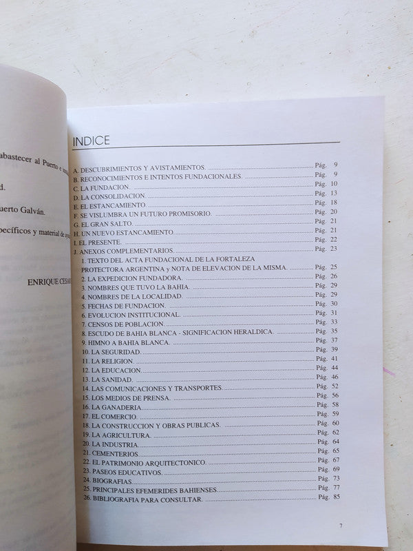 Libro usado en venta: Bahia Blanca - Su historia en historias; editorial Enrique Cesar Recchi impreso en 2000 realizamos envios a todo el mundo.3