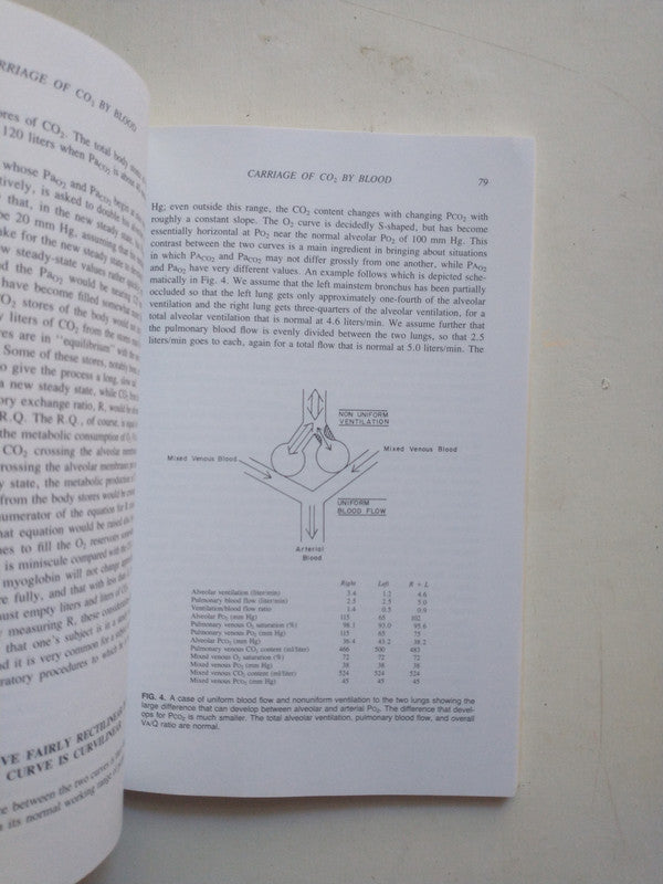 Libro usado en venta: The Silver palate cook book de Julee Rosso - Sheila Lukins; editorial Workman Publishing impreso en 1982 envios a todo el mundo.2