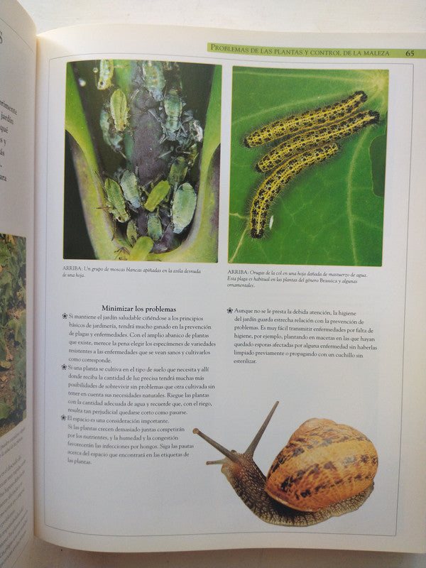 Libro usado en venta: El jardin - Planificacion, dise?o, cultivo y poda de Deena Beverley - Barty Phillips; editorial Parragon impreso en 2008.3