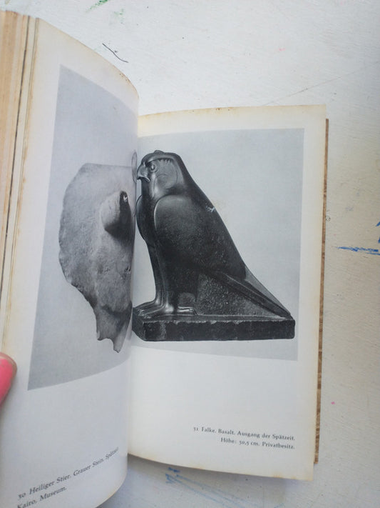 Libro usado en venta: Agyptische Tierplastik - mit 36 fotos de Kurt Lange; editorial Sigbert Mohn Verlag impreso en 1959 envios a todo el mundo.2