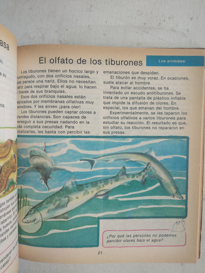 Libro usado en venta: Los Libros de Tamandua 2 en 1 de Maria Teresa Forero; editorial Aique impreso en 1989 realizamos envios a todo el mundo.4