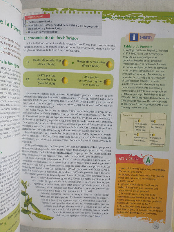 Libro usado en venta: Biologia: Origen, diversidad y evolucion de los sistemas de Patricia Antokolec; editorial Kapelusz impreso en 2011.3