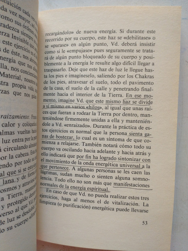Libro usado en venta: Channeling - Como abrir los canales de energia de Virginia Cavalcanti; editorial Obelisco impreso en 1990 envios a todo el mundo.3