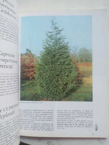 Libro usado en venta: Coniferas ornamentales de Roberto Guillen Andreu; editorial Floraisse impreso en 1975 realizamos envios a todo el mundo.2
