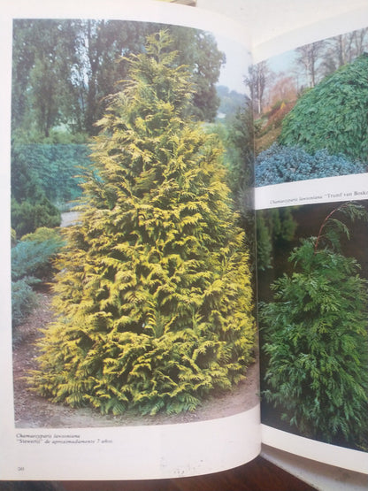 Libro usado en venta: Coniferas ornamentales de Roberto Guillen Andreu; editorial Floraisse impreso en 1975 realizamos envios a todo el mundo.3