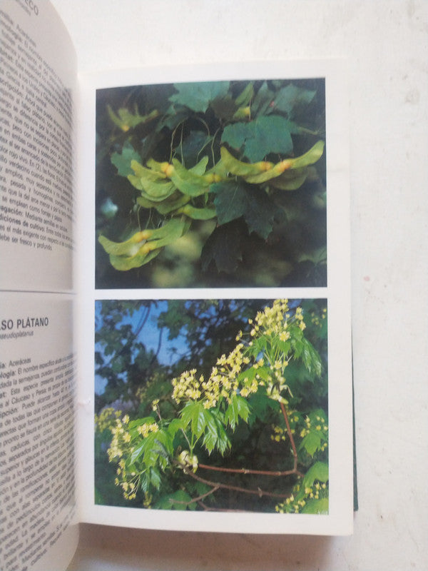 Libro usado en venta: La Biblia - El libro del Pueblo de Dios; editorial San Pablo impreso en 1992 realizamos envios a todo el mundo.2