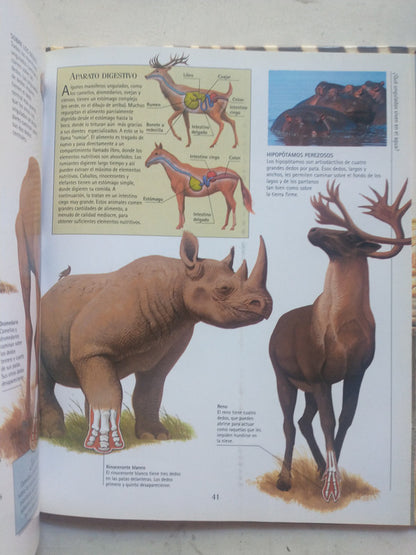 Libro usado en venta: Los cirqueros de Lily Franco; editorial Guadalupe impreso en 1977 realizamos envios a todo el mundo.2