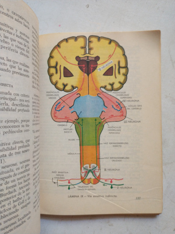 Libro usado en venta: Curso de filosofia de Jorge L. Garcia Venturini; editorial Troquel impreso en 1976 realizamos envios a todo el mundo.2