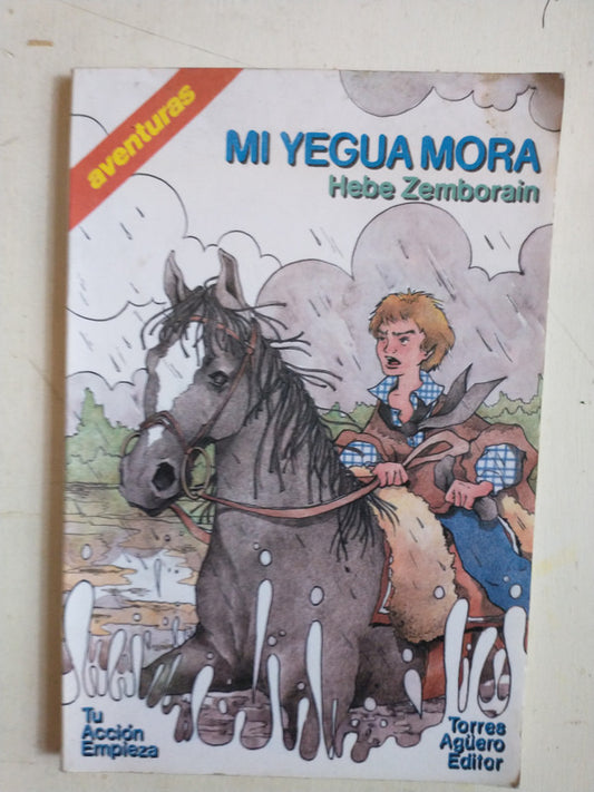 Libro usado en venta: Mi yegua Mora de Hebe Zemborain; editorial Torres Agüero impreso en 1992 realizamos envios a todo el mundo.1