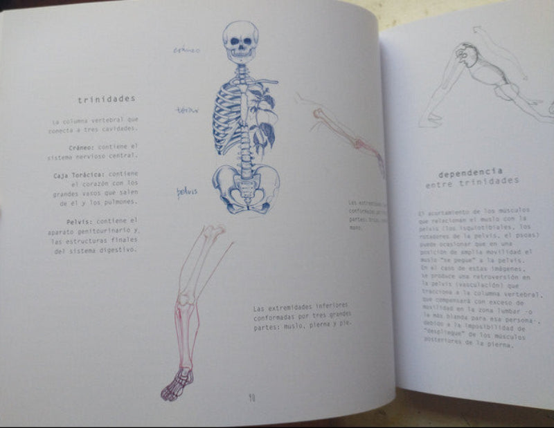 Libro usado en venta: Naturaleza de la fuerza en el cuerpo y la danza de Roxana Galand; impreso en 2014 realizamos envios a todo el mundo.2