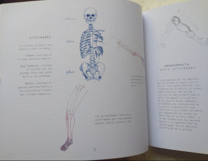 Libro usado en venta: Naturaleza de la fuerza en el cuerpo y la danza de Roxana Galand; impreso en 2014 realizamos envios a todo el mundo.2