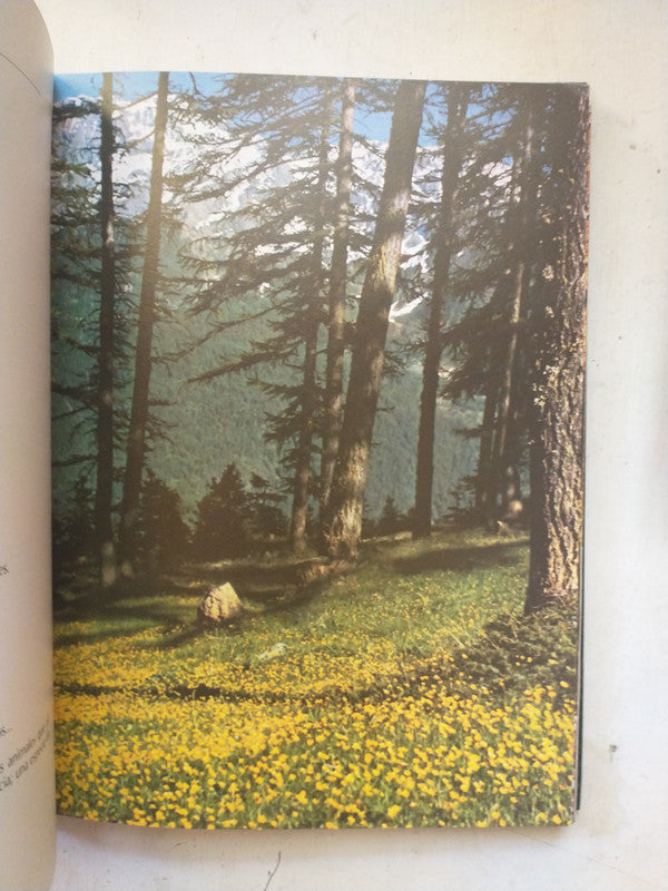 Libro usado en venta: Saber observar de Antonio Zappino; editorial Paulinas impreso en 1981 realizamos envios a todo el mundo.3