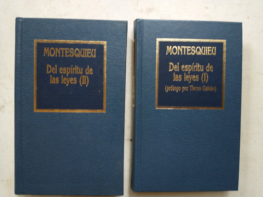 Libro usado en venta: Del espiritu de las leyes (2 Tomos) de Montesquieu; editorial Hyspamerica impreso en 1984 realizamos envios a todo el mundo.1