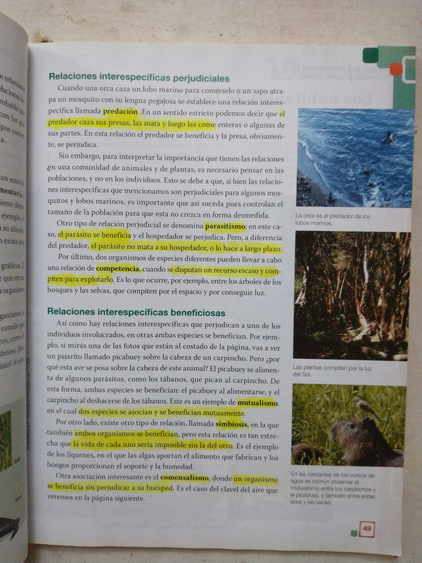 Libro usado en venta: Brasil intercultural - Nivel 1; editorial Casa do Brasil impreso en 2011 realizamos envios a todo el mundo.2