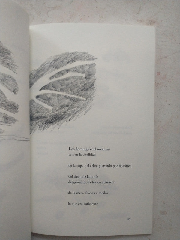 Libro usado en venta: Meditacion en la luz; editorial Sai Ram impreso en 1998 realizamos envios a todo el mundo.2