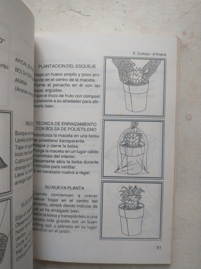 Libro usado en venta: El reino del Arco Iris de Adela Vettier; editorial Pehuen-co impreso en 1987 realizamos envios a todo el mundo.2