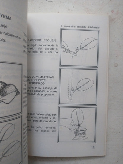 Libro usado en venta: Hagamos nuestras plantas de Elena de Rocha - G. Rocha; editorial Lidiun impreso en 1992 realizamos envios a todo el mundo.2